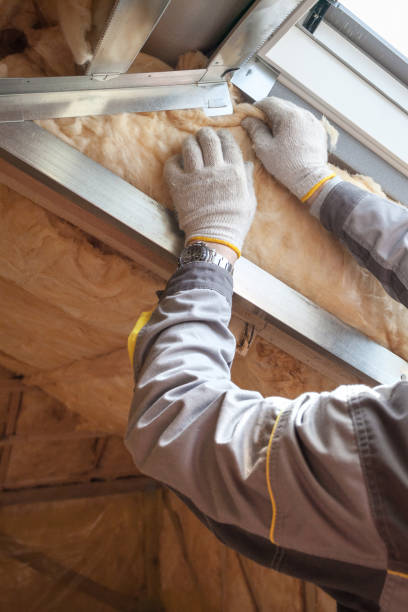 Best Residential Insulation in Laingsburg, MI