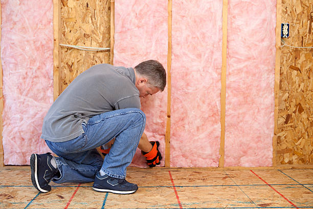 Best Insulation for Specific Applications in Laingsburg, MI