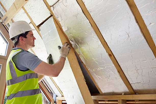 Best Insulation Maintenance and Repair in Laingsburg, MI